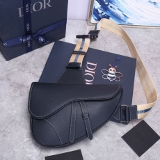 Christian Dior Saddle Bags